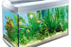 Готовые аквариумы